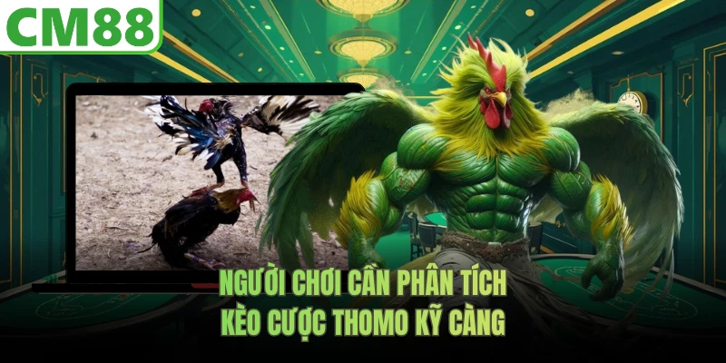 Người chơi cần phân tích kèo cược Thomo kỹ càng