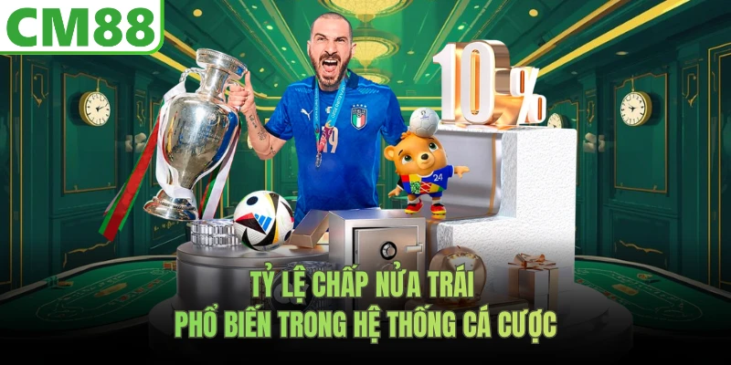 Tỷ lệ chấp nửa trái phổ biến trong hệ thống cá cược